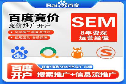 电商行业SEM运营的挑战与成功案例